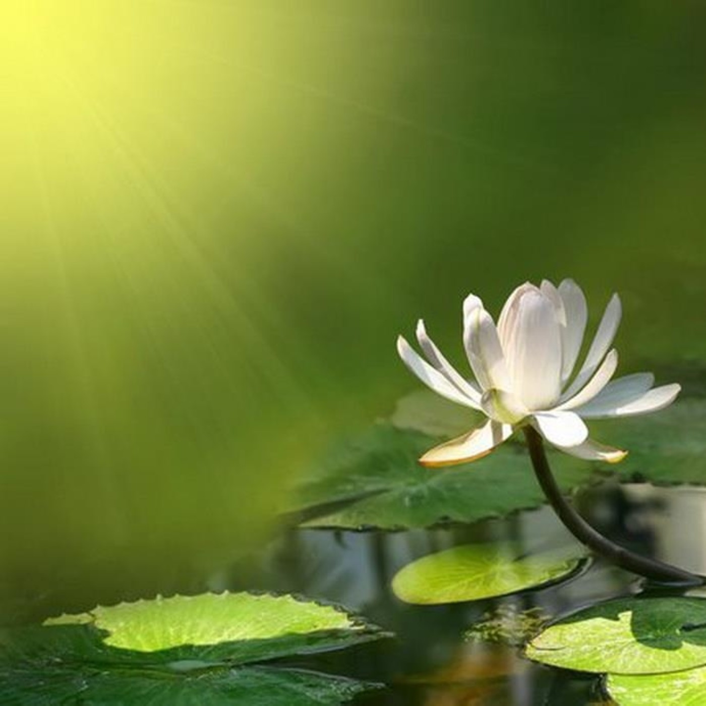 Brahma Kumaris Valencia