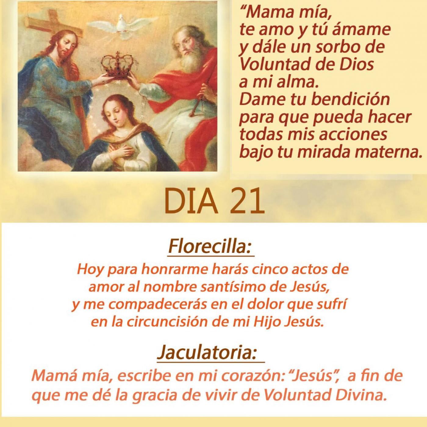 DIVINA VOLUNTAD CONSAGRACION A LA REINA DEL CIELO