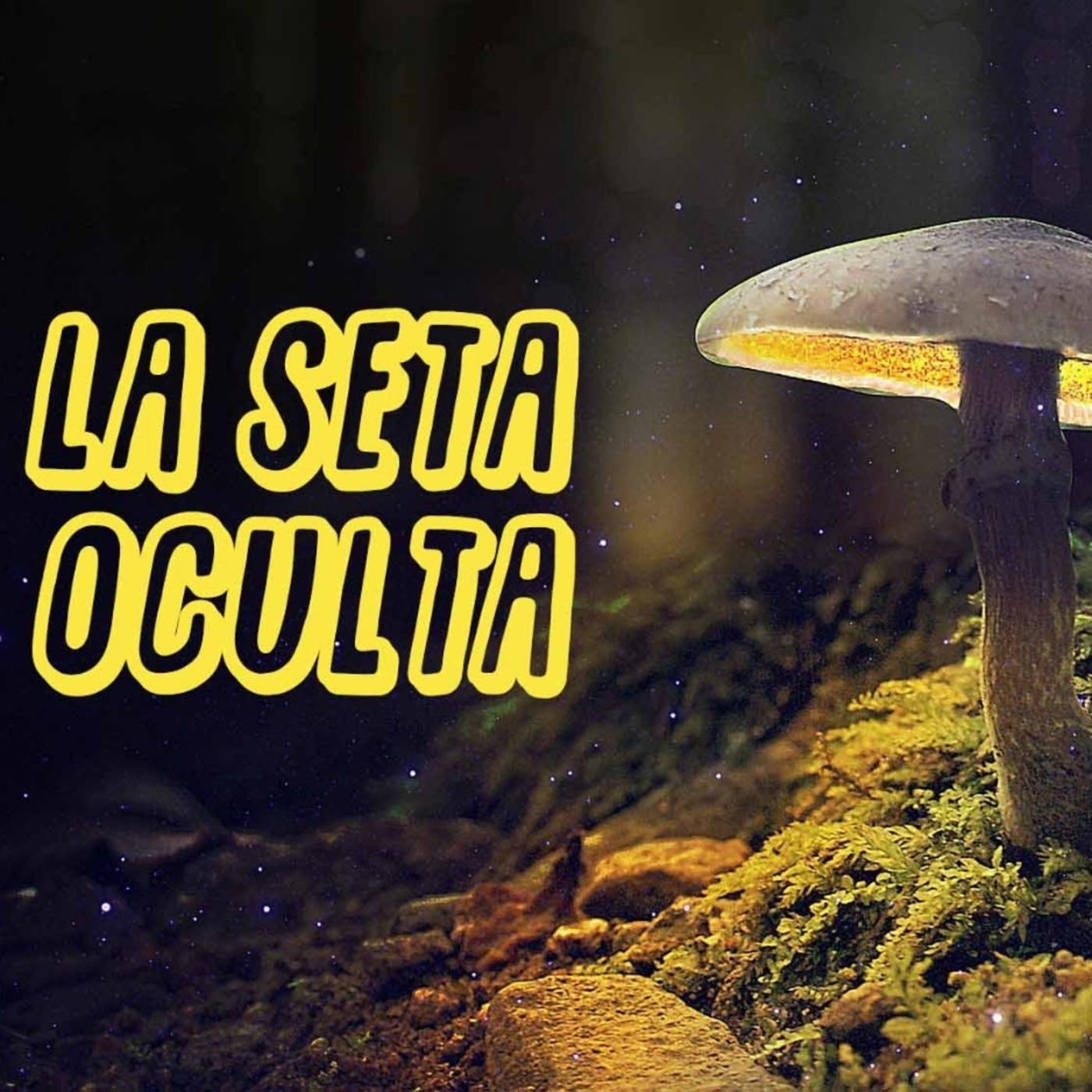 La Seta oculta
