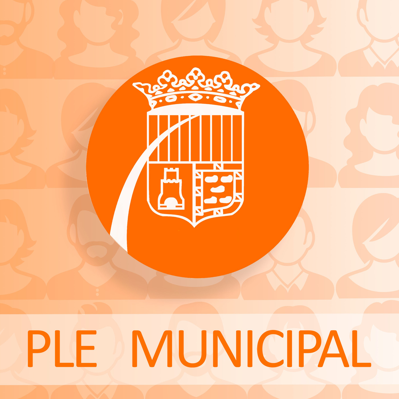 Ple municipal de gener 2019. Sense talls episode artwork