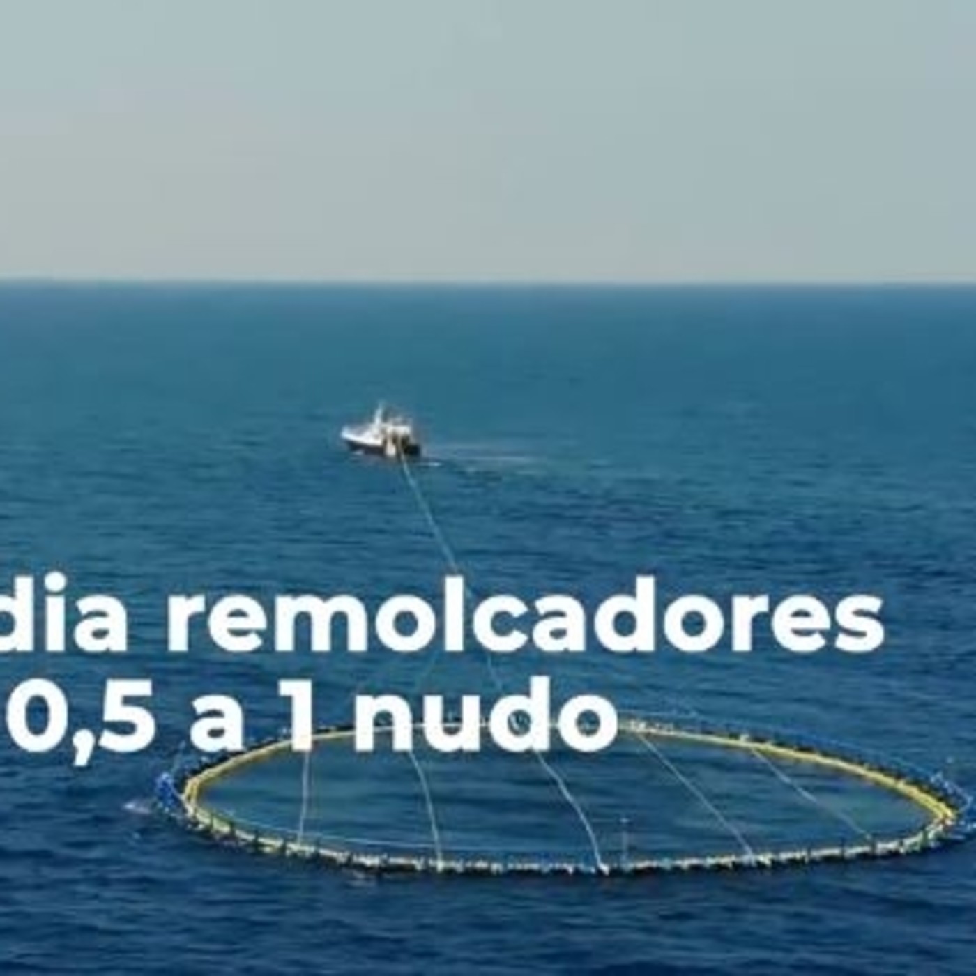 Ricardo Fuentes Atun Rojo