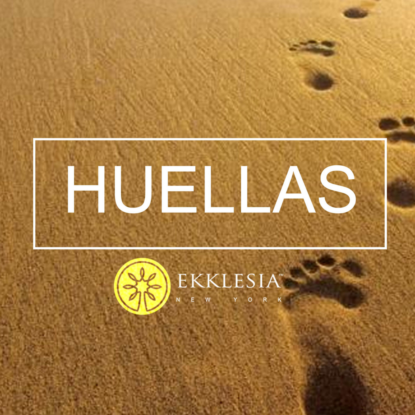 Ekklesia New York