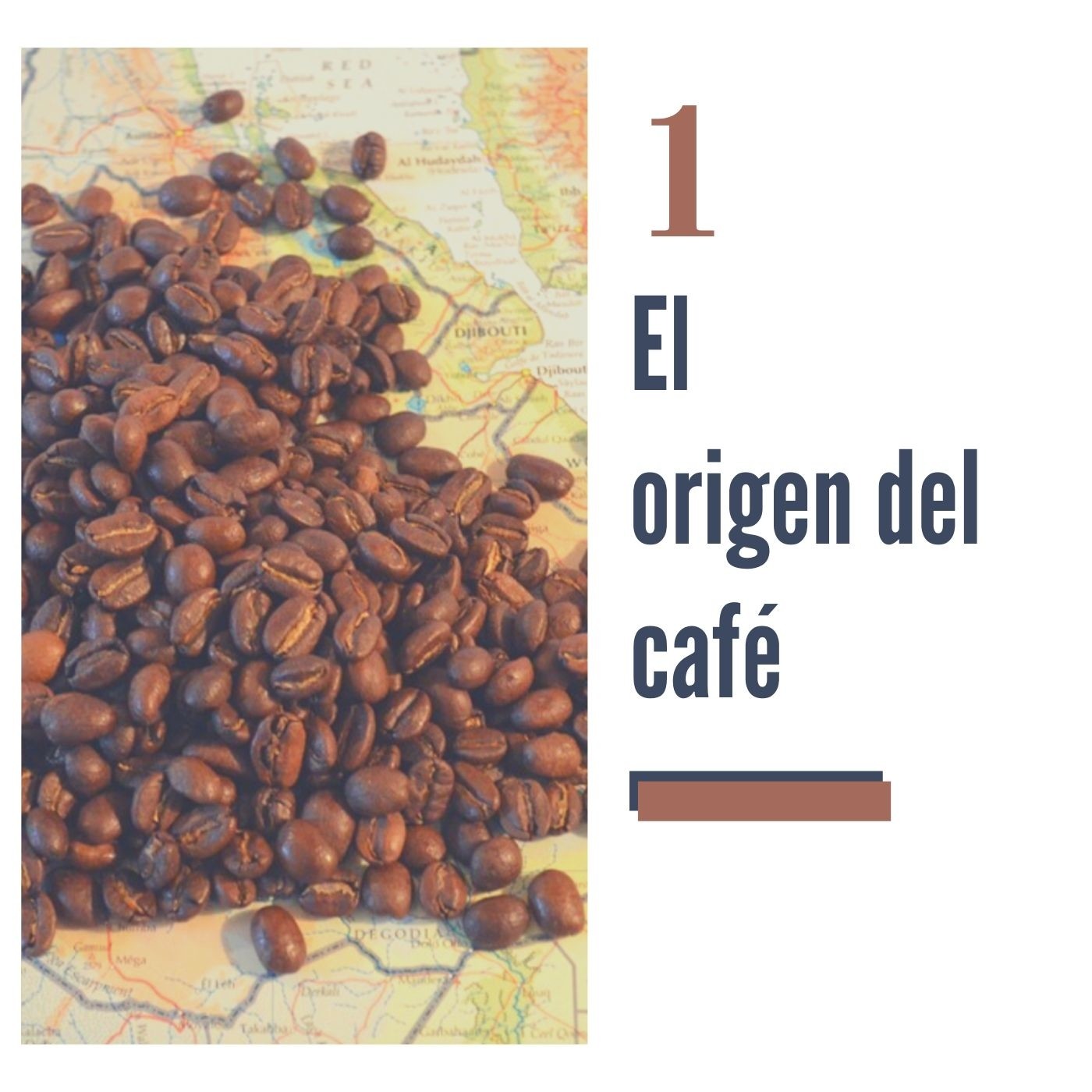 Piel Color Café | Adriana