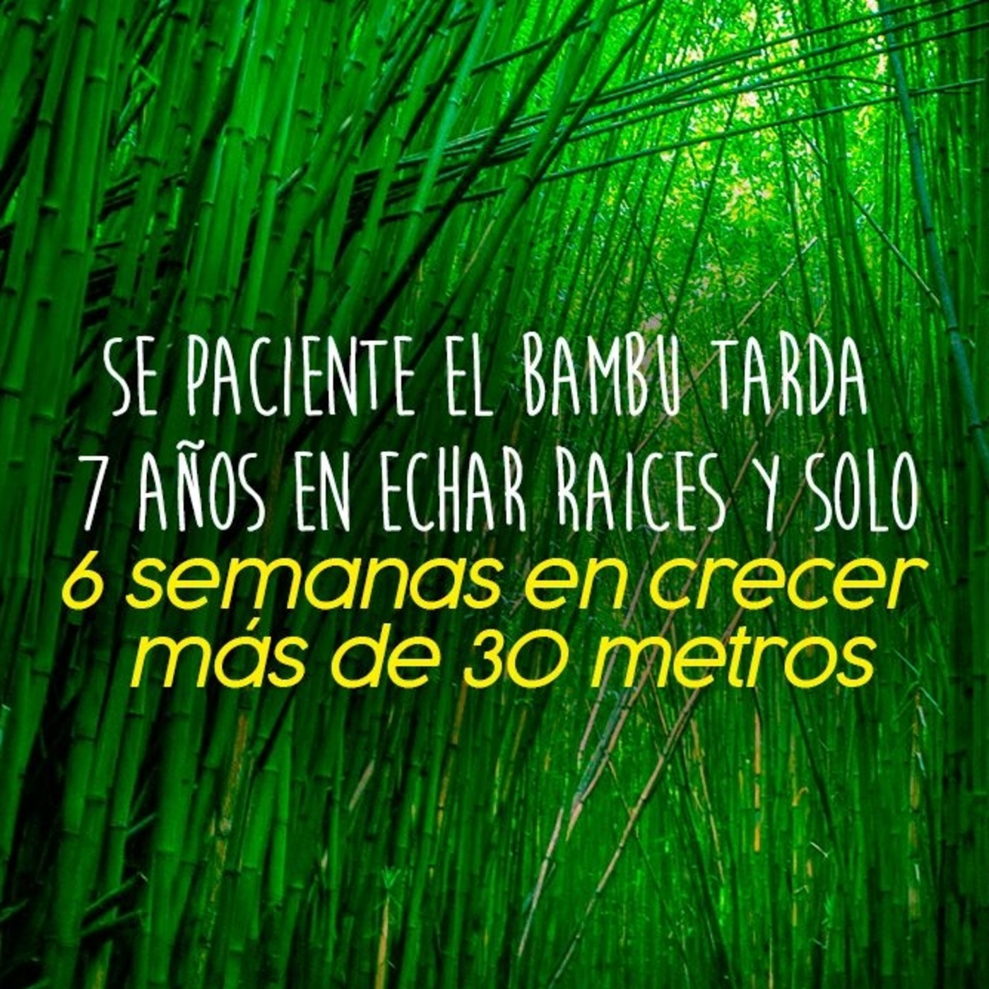 GrupoHinode Colombia