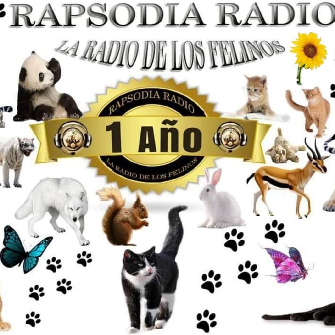 CRUZANDO FRONTERAS - Programa de radio