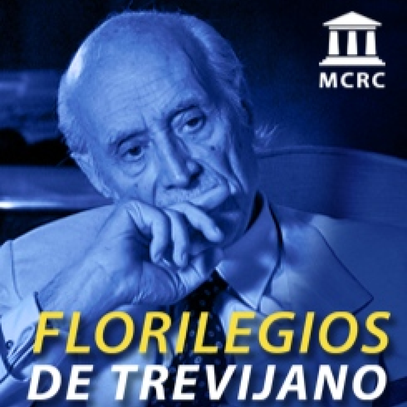 Radio Libertad Constituyente
