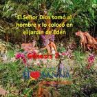 Padre John- Reflexión evangelio madrugada del 13 de Febrero de 2019