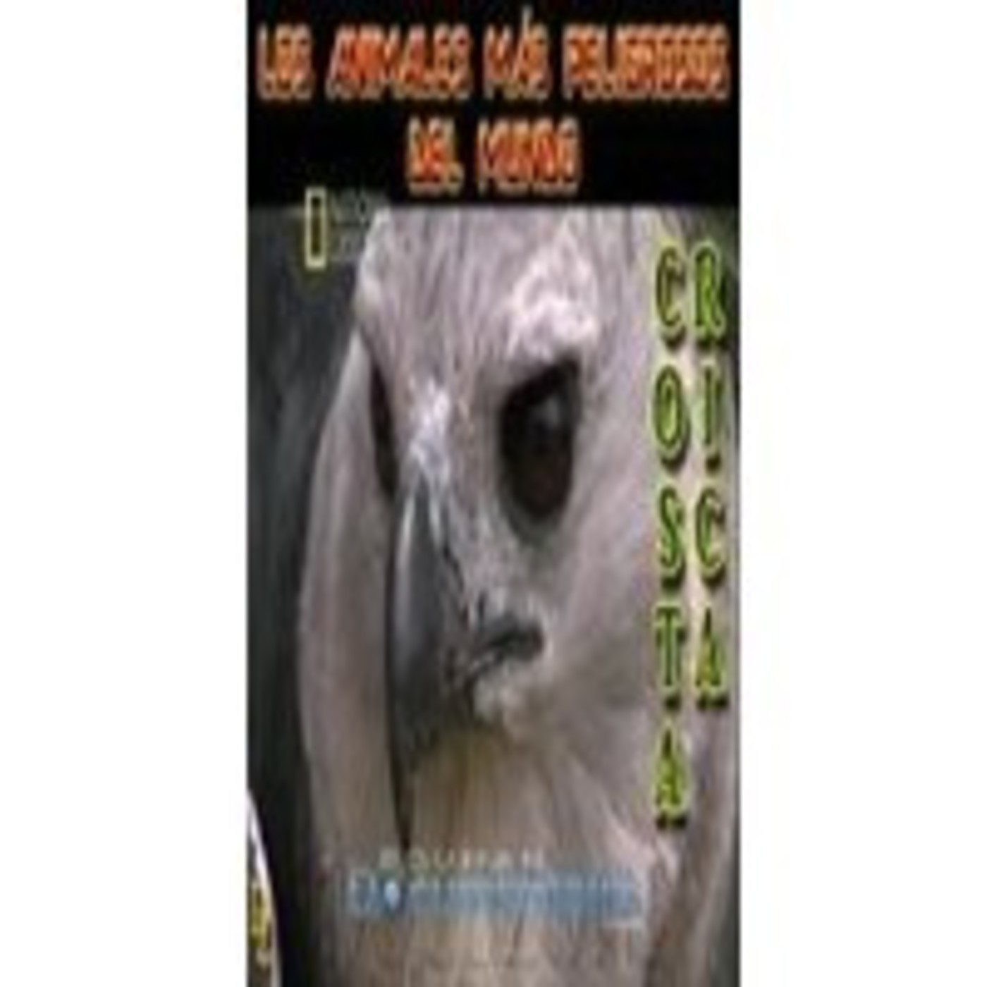 Audio-documentales