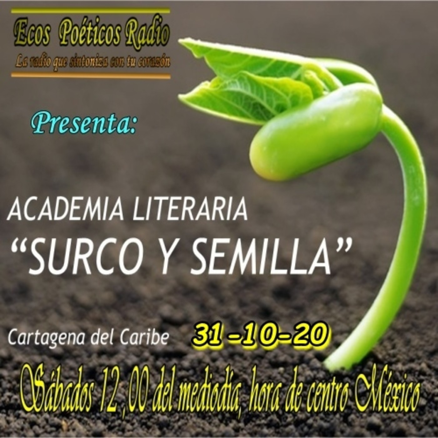 ACADEMIA LITERARIA SURCO Y SEMILLA