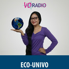 Programa 7 - 2017