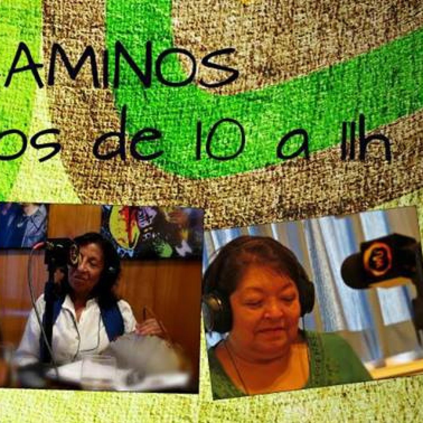 Programa n°84 de Abriendo Caminos 6/2/2016 episode artwork