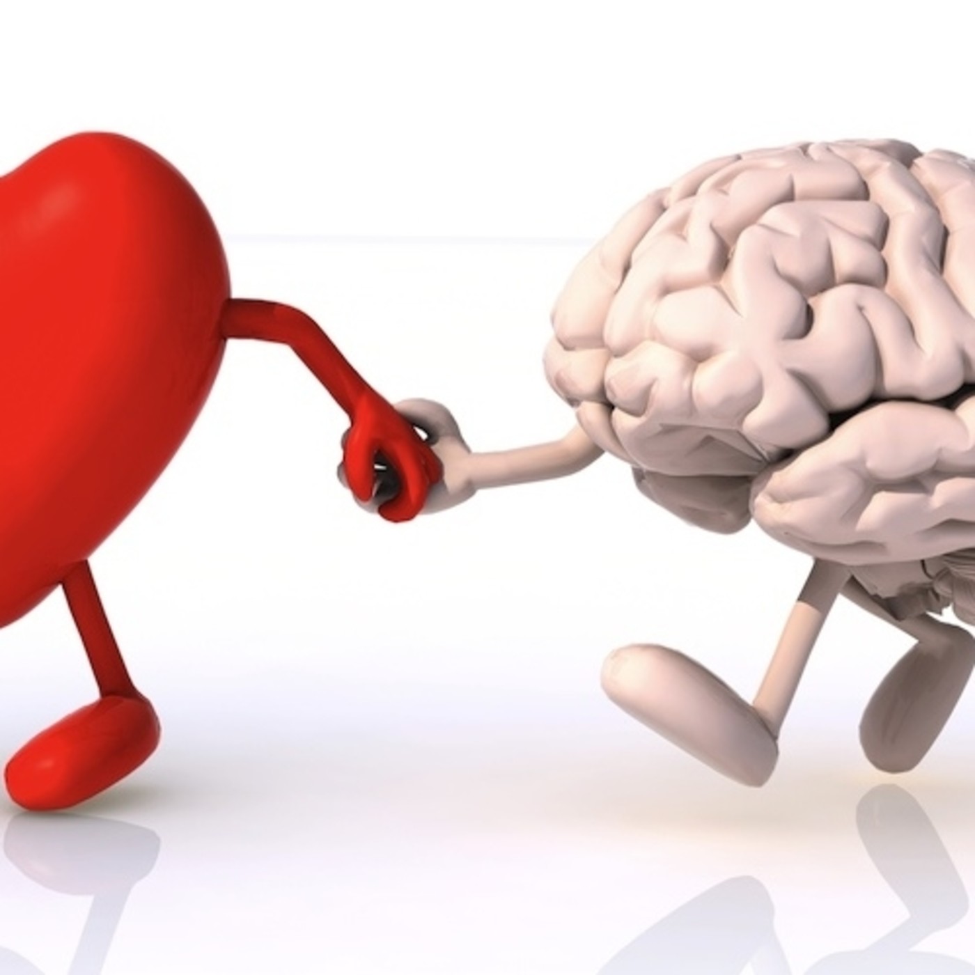 Manuel de Instrucciones 2019