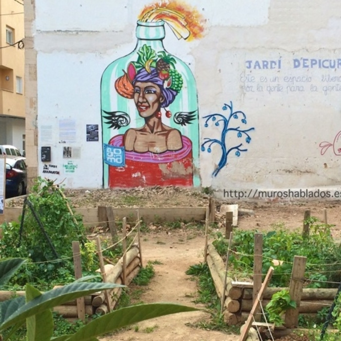 Jornada solidària Jardí d'Epicur 21/07/2017 episode artwork