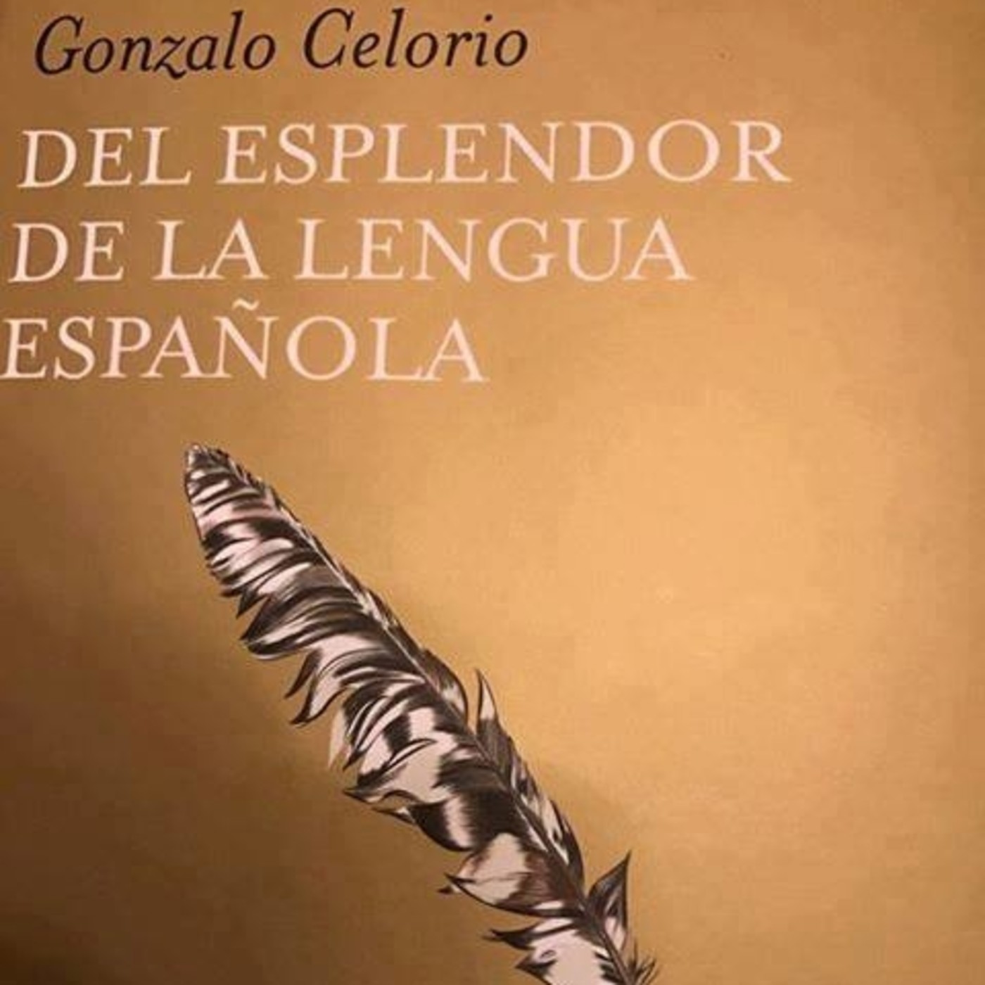 A Pie de Página IMER