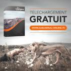 Message subliminal | Etre courageux