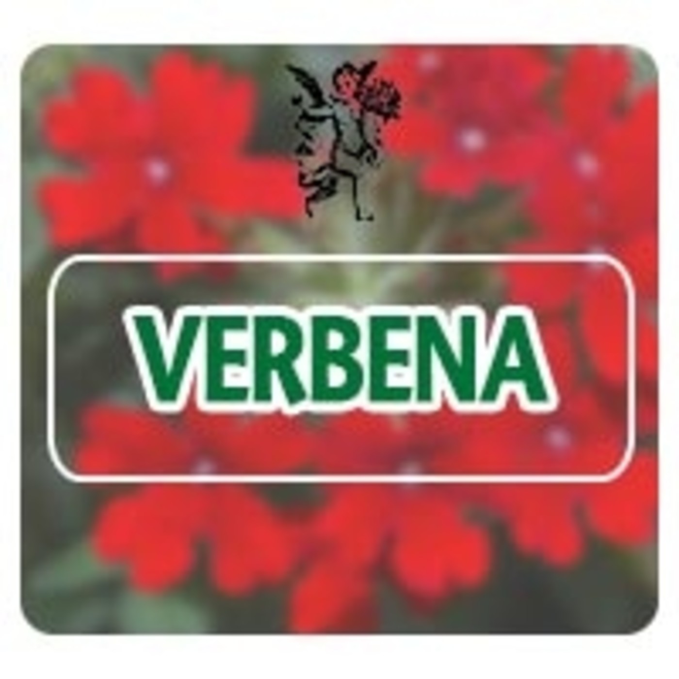 El Angel de tu Salud - VERBENA* episode artwork