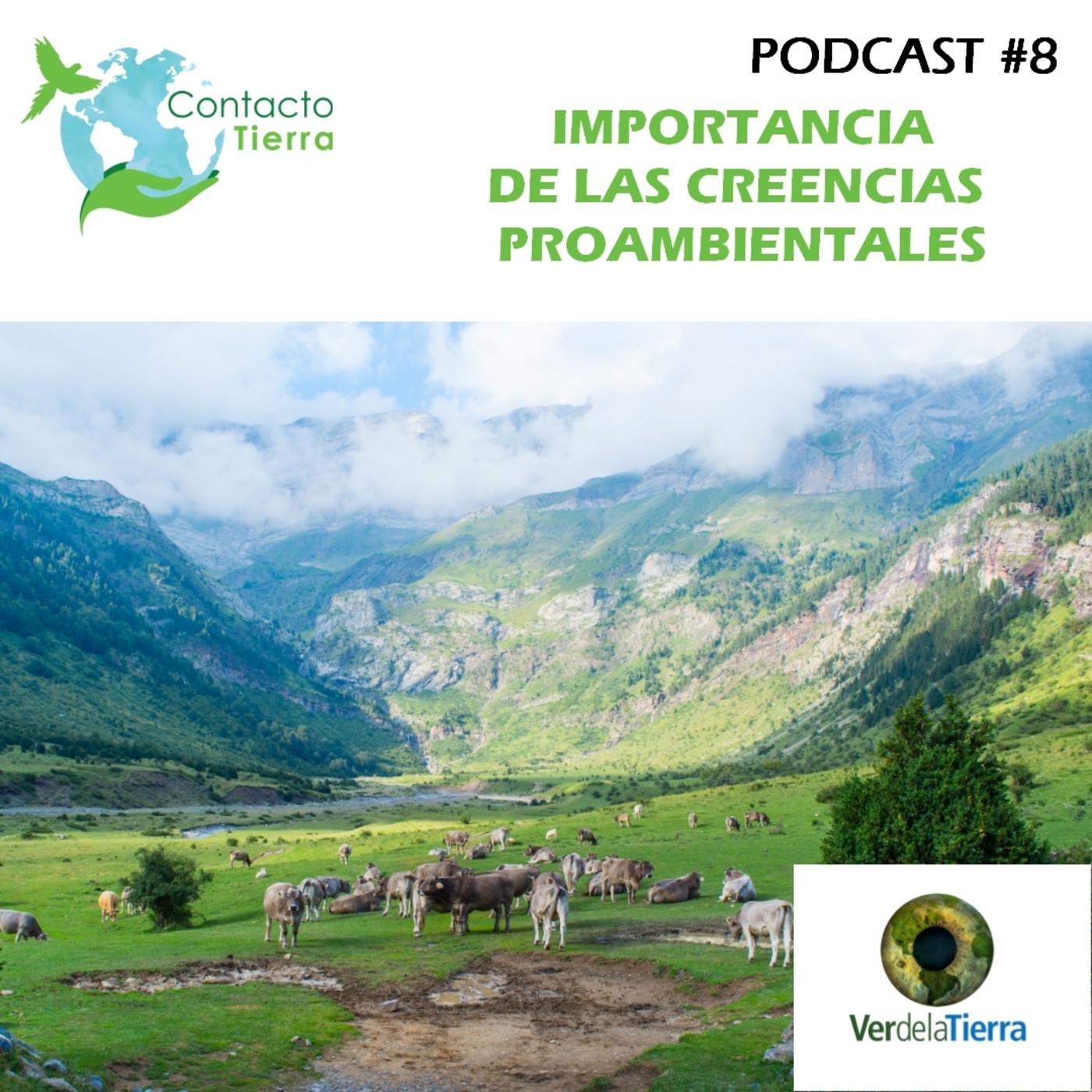 Contacto Tierra Radio USB