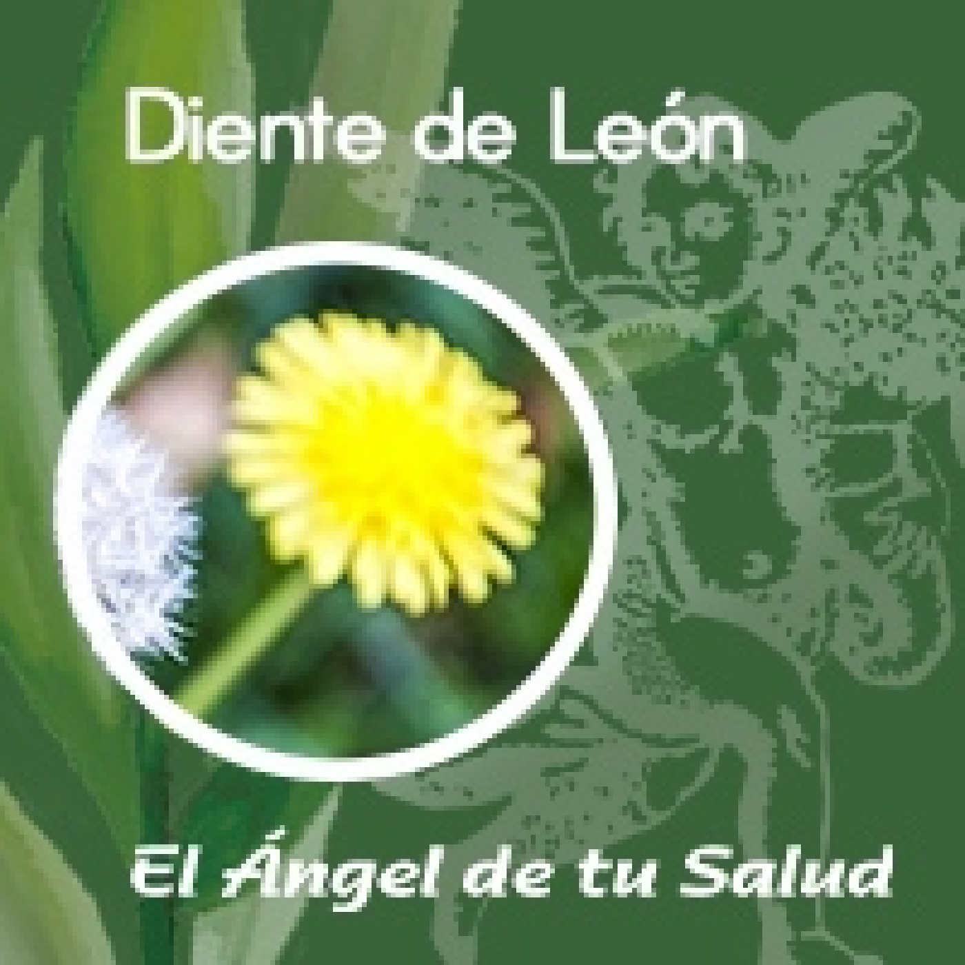 El Ángel de tu Salud - Diente de León** episode artwork