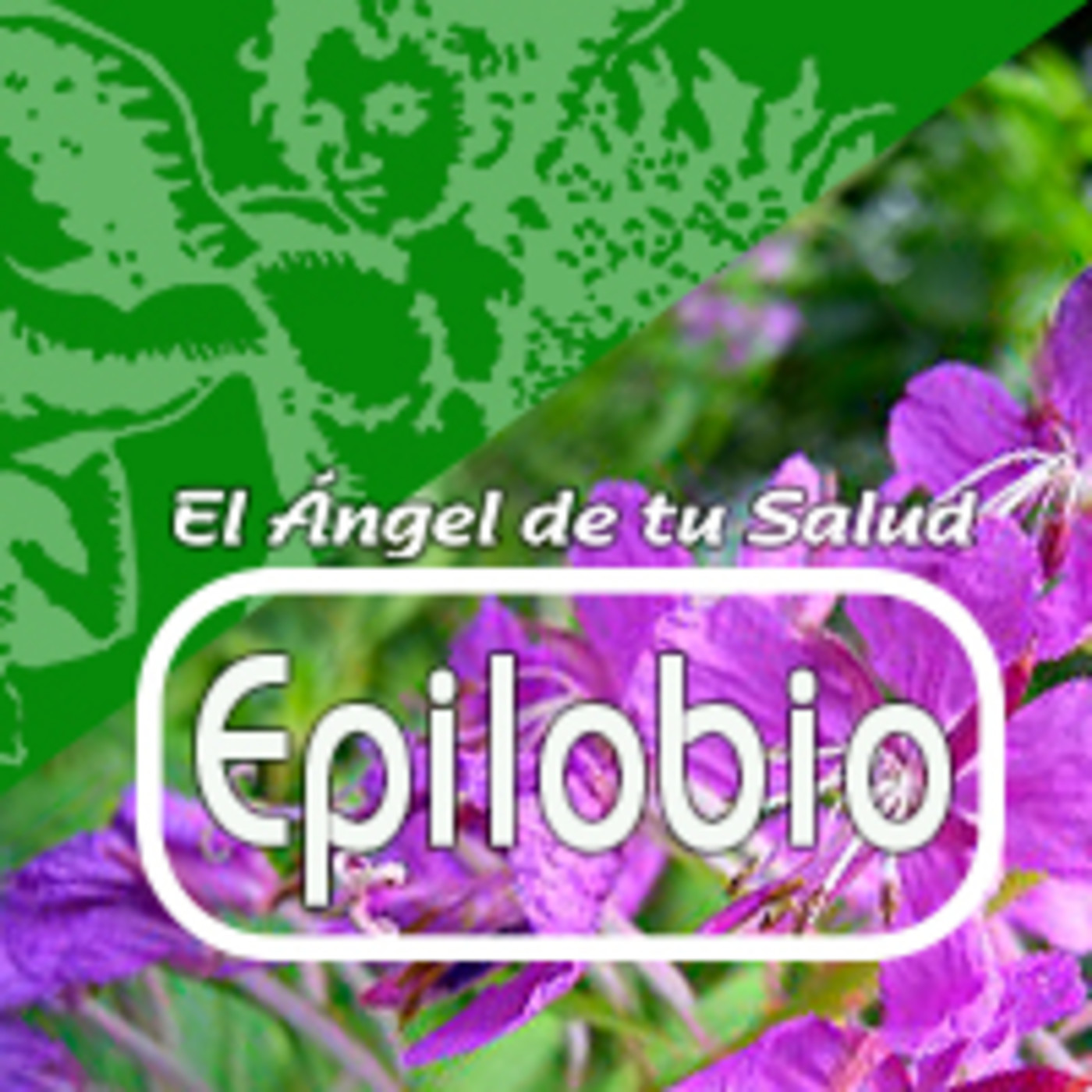 El Ángel de tu Salud - EPILOBIO** episode artwork