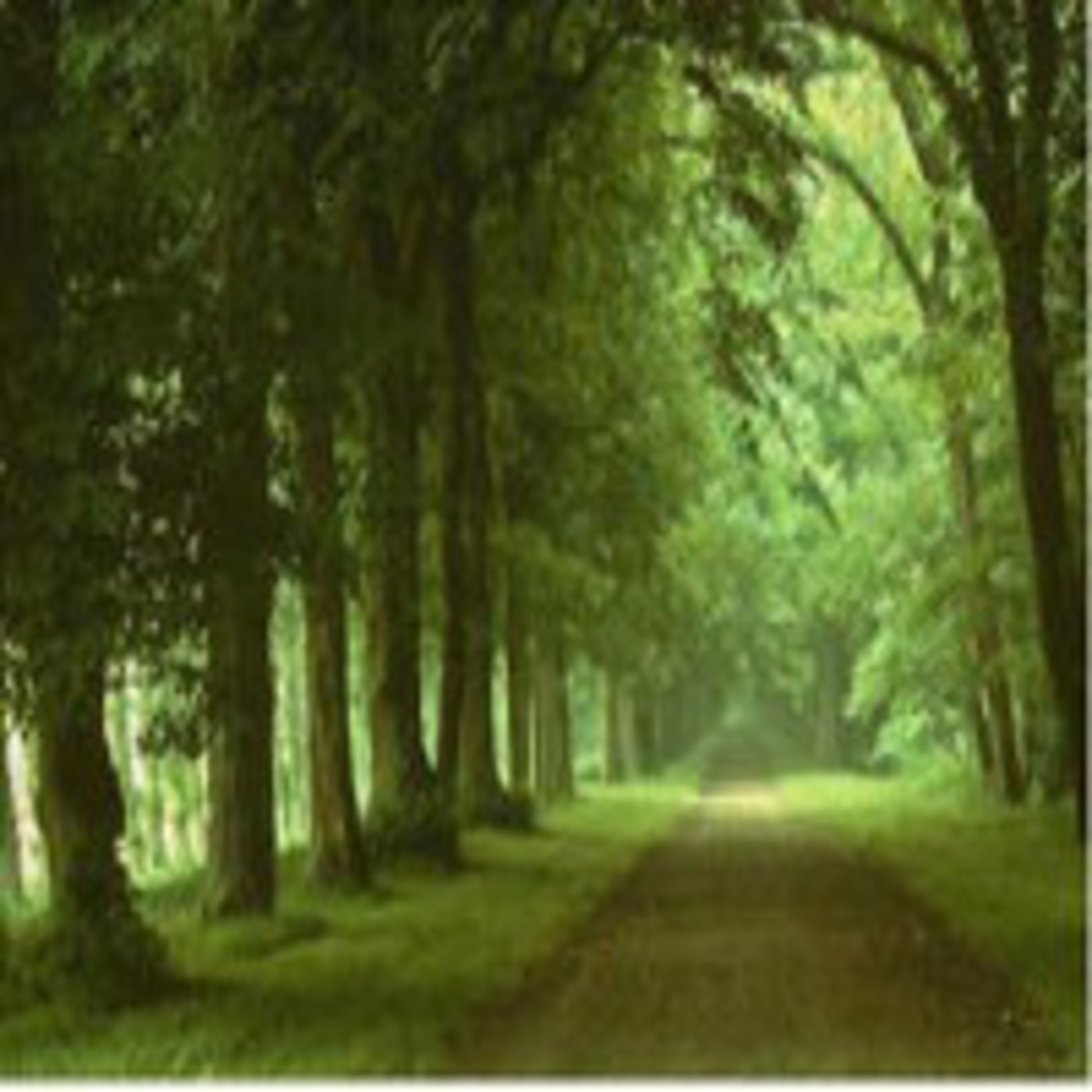 Podcast Audio Lecturas Nerim