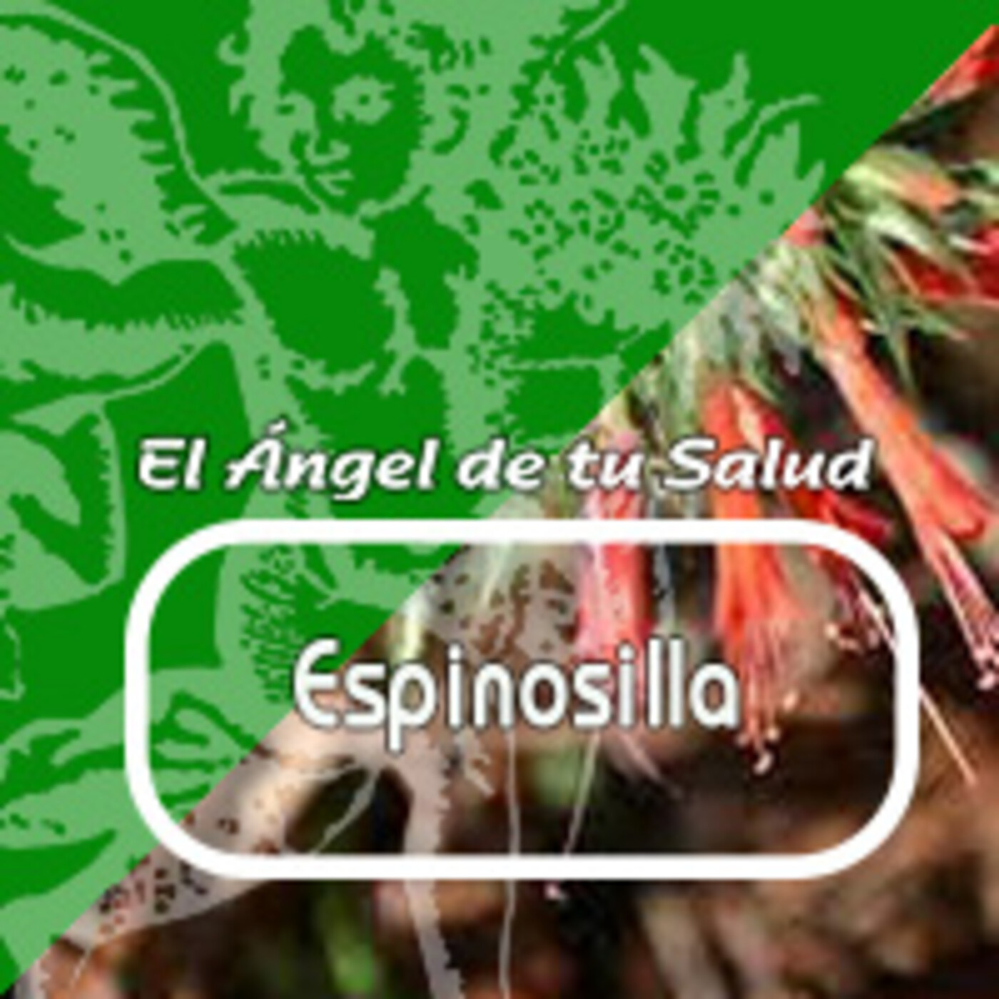 El Ángel de tu Salud - ESPINOSILLA*** episode artwork