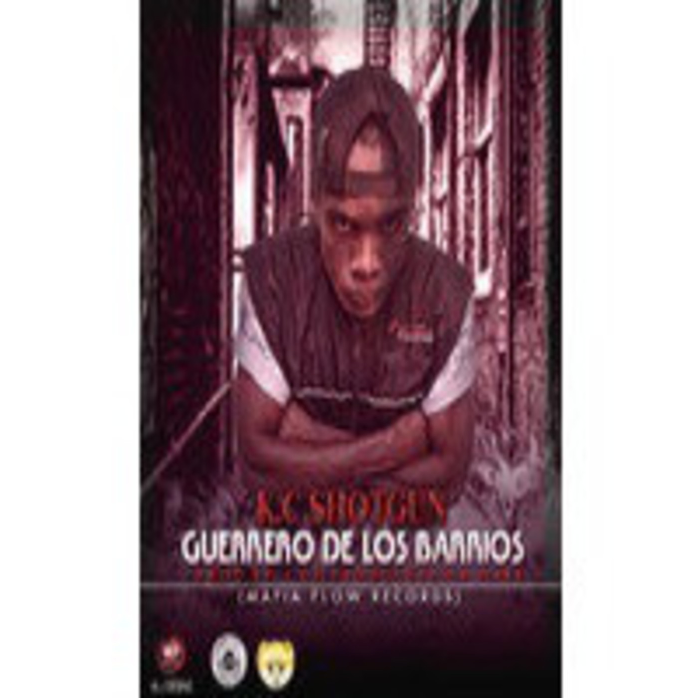 guerreros de los barrios