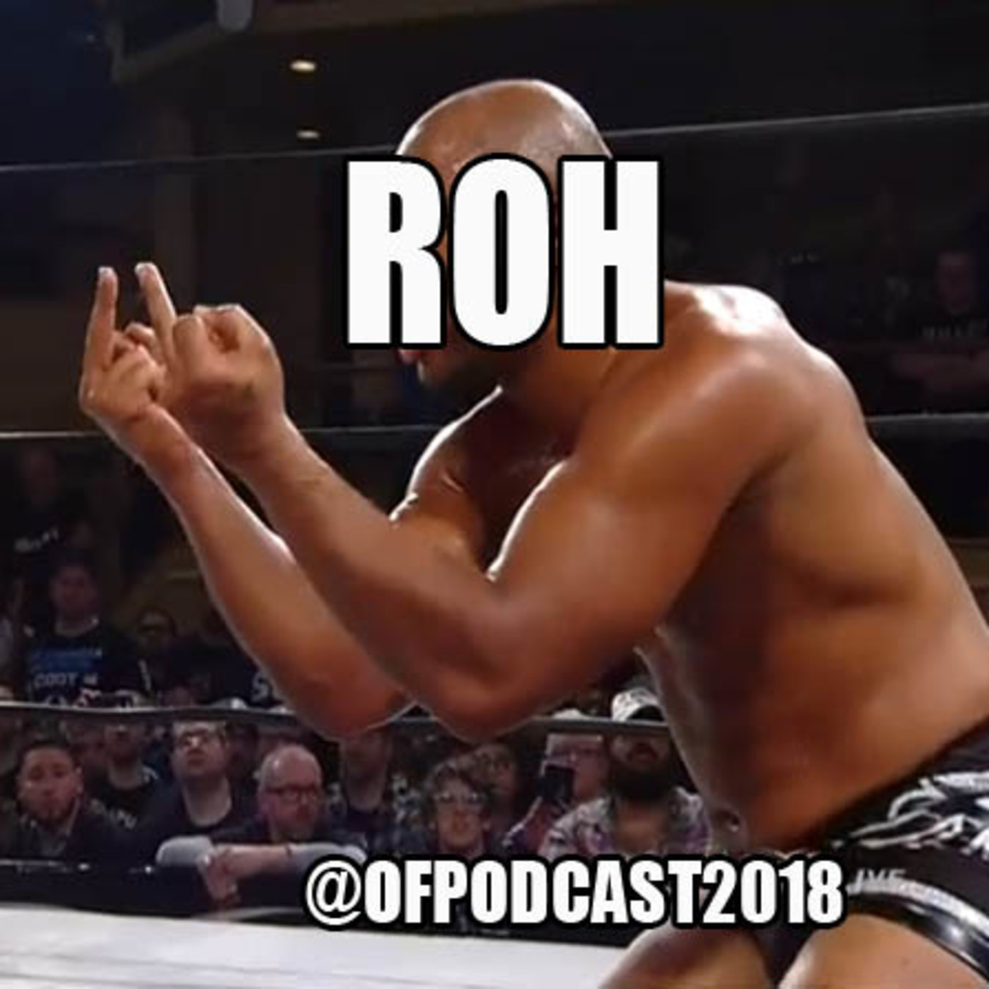 One Fall Podcast # 36 - Previa a WWE TLC episode artwork