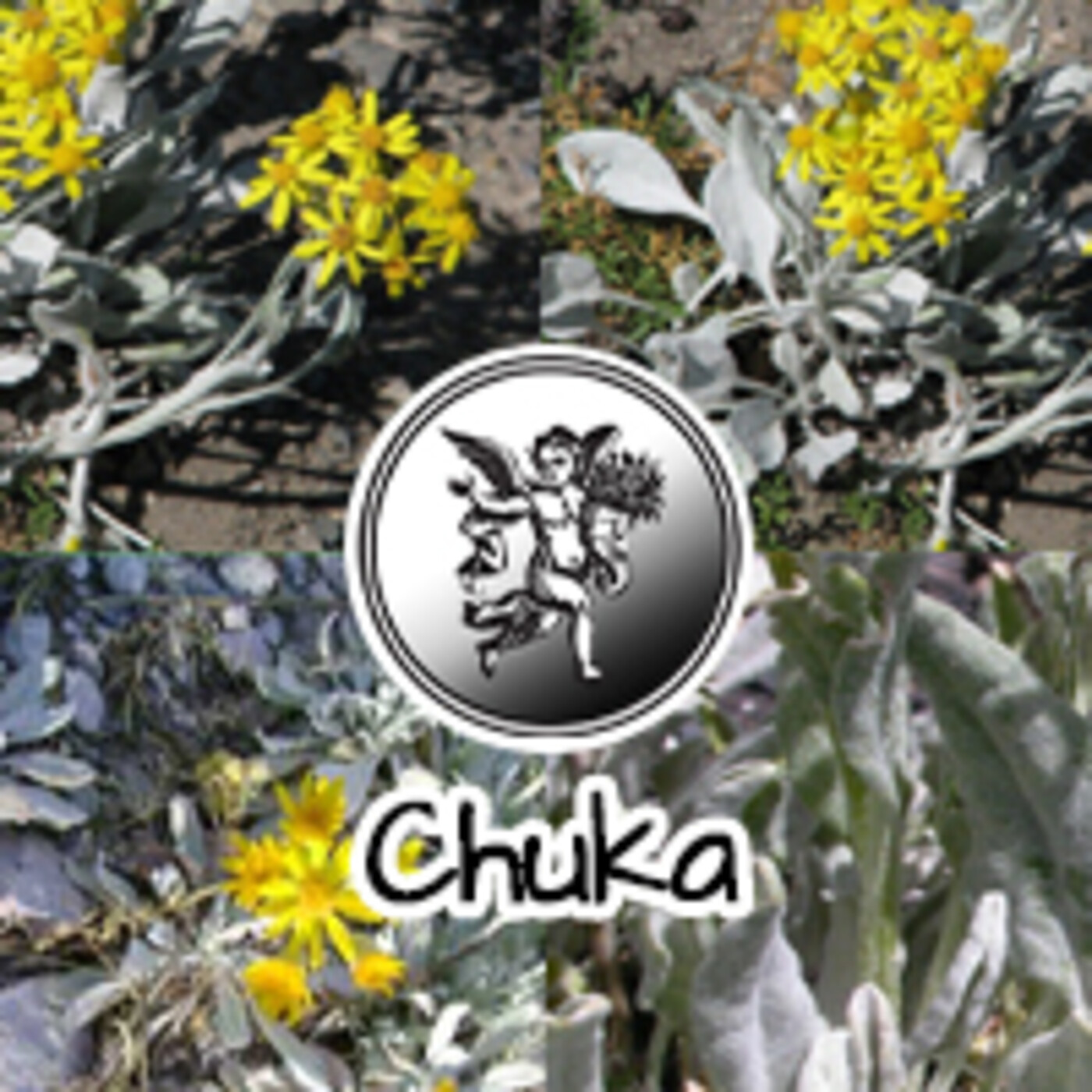 El Angel de tu Salud - CHUKA II episode artwork