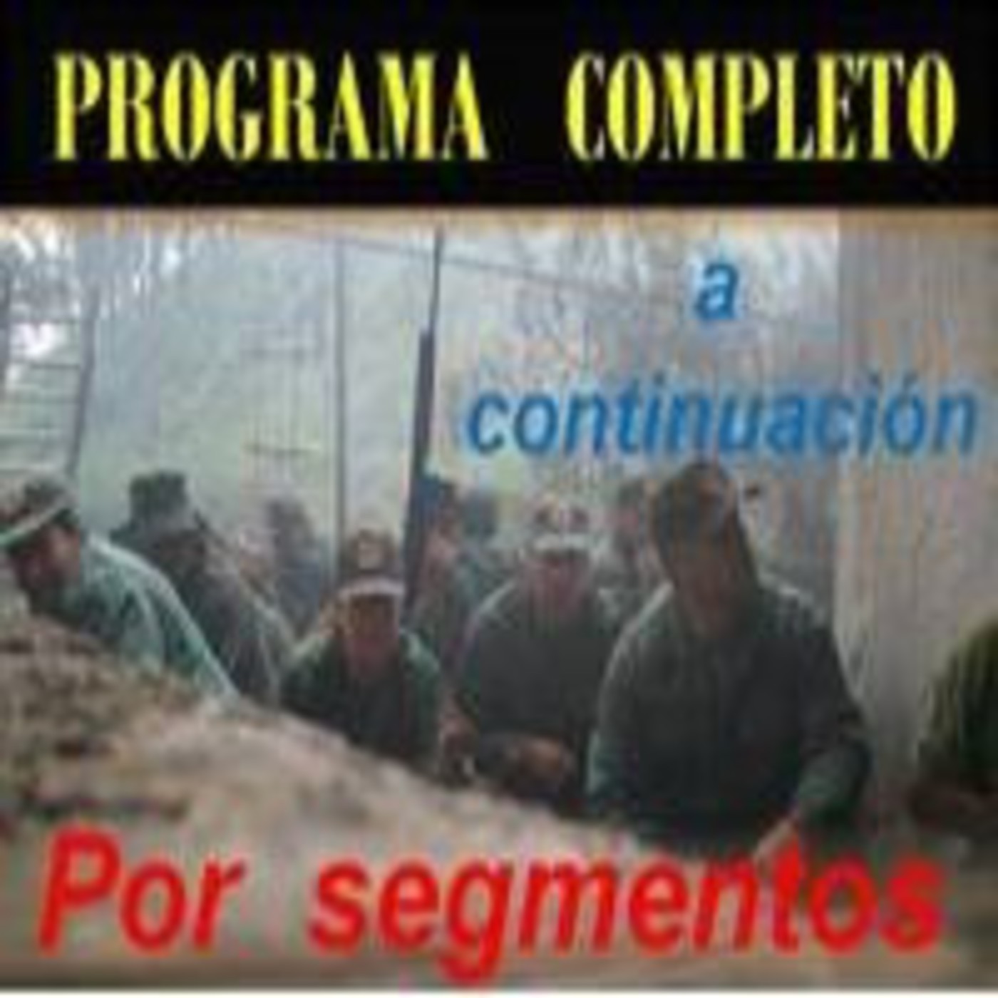 Z. La Milicia Somos Todos