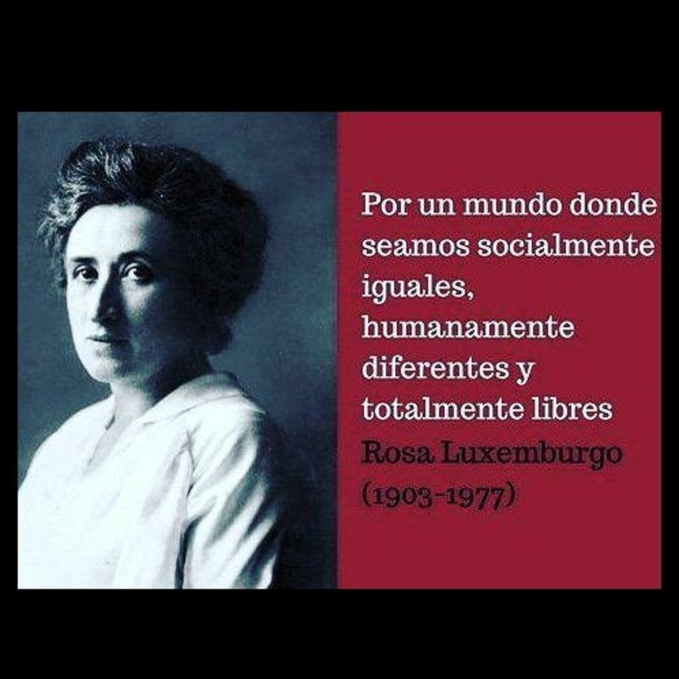 Bibliocracia