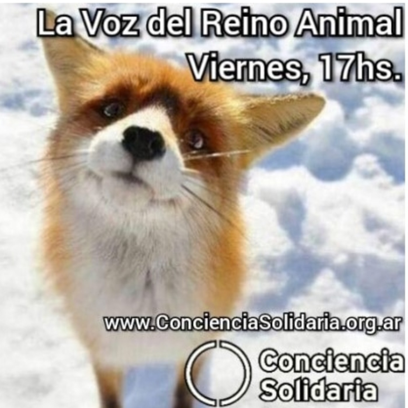 Extracto del programa radial #LaVozDelReinoAnimal 2-8-19 episode artwork