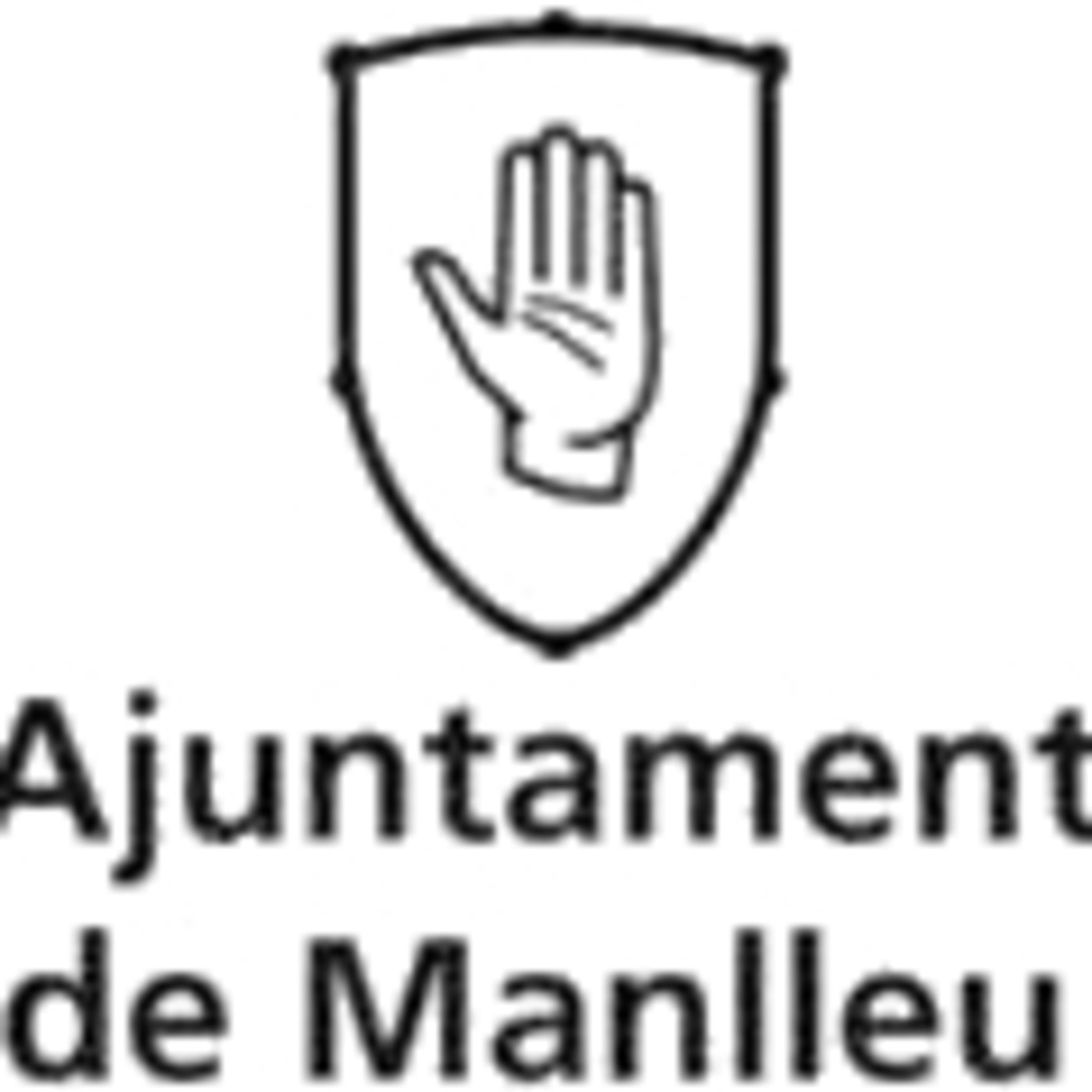 Ple Desembre 2019- Sessió ordinària