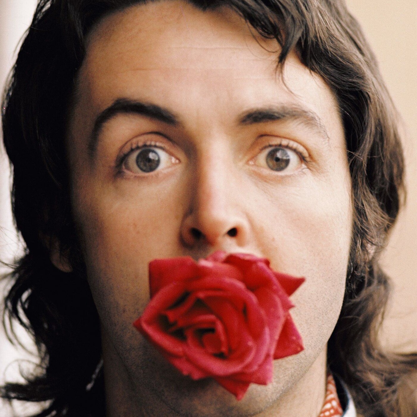 Proyecto Beatle