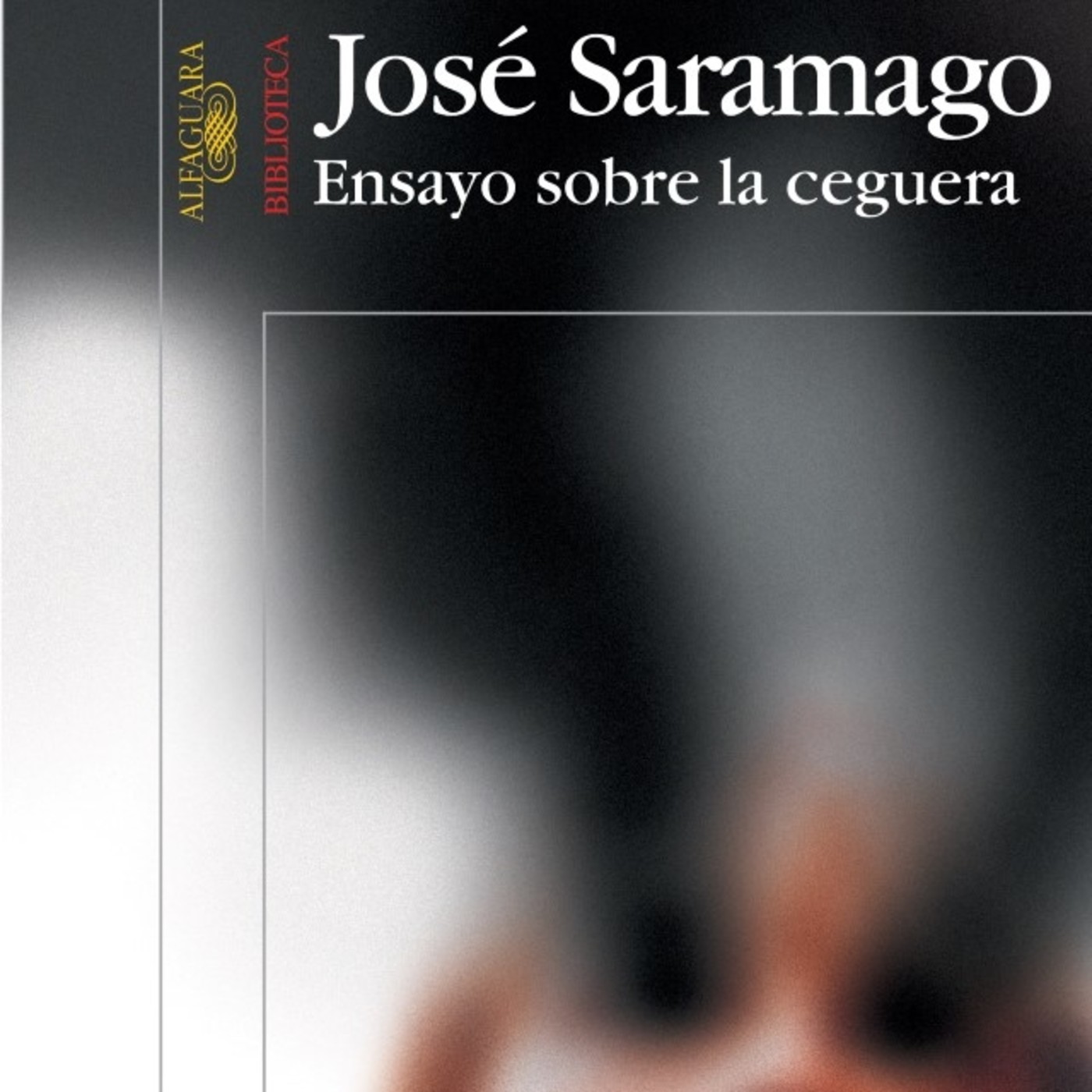 Novelas y más Novelas