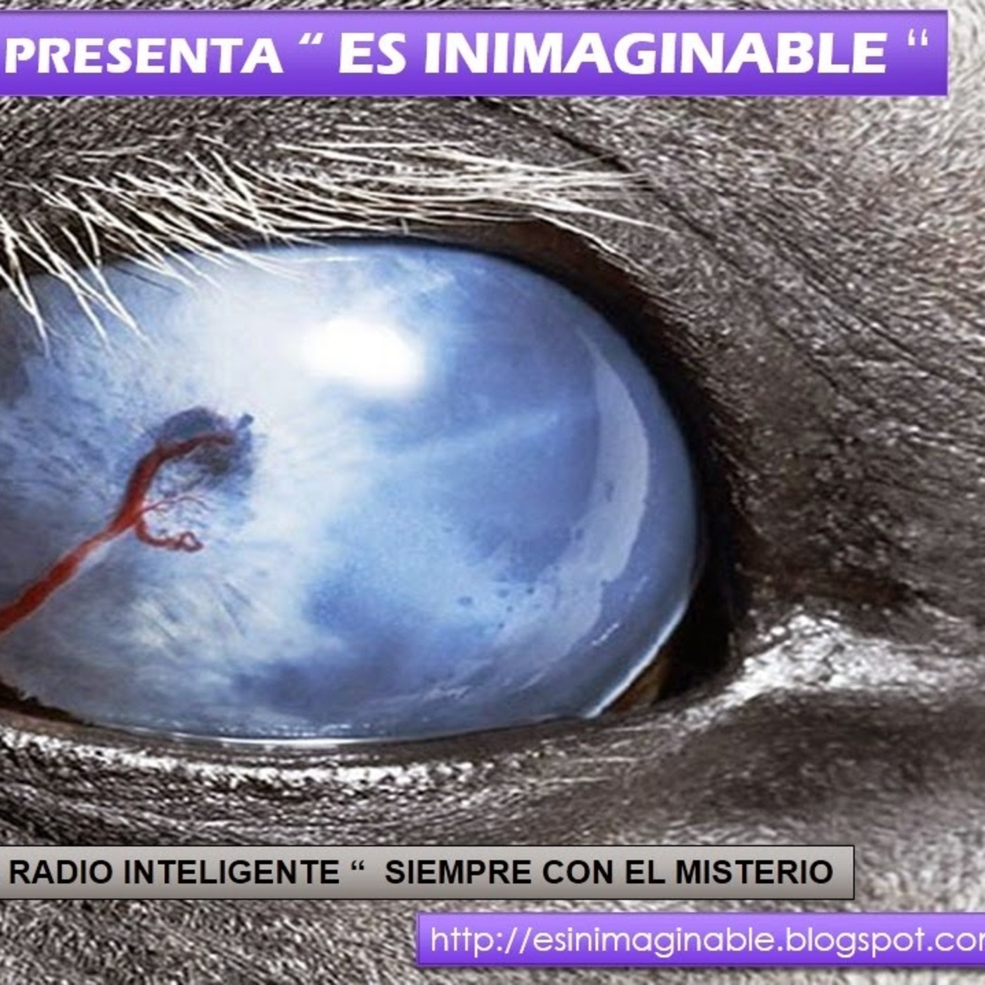 Podcast RADIO TORREPARAISO