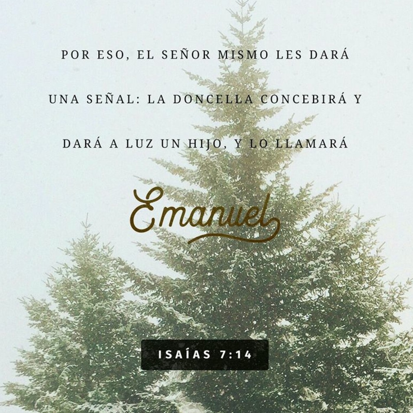 La Palabra de Dios para tu Vida