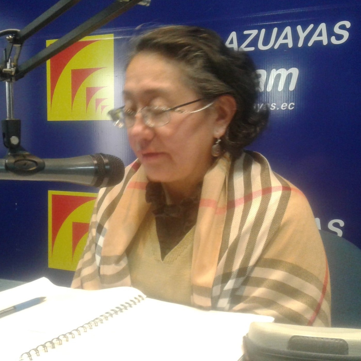 Ondas Azuayas