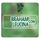 El Ángel de tu Salud - BRAHAMI CON LEUCINA