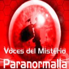 Voces del Misterio 11/07/14 - Especial 04 de Verano - 'Misterios históricos' con Lorenzo Fernández Bueno.