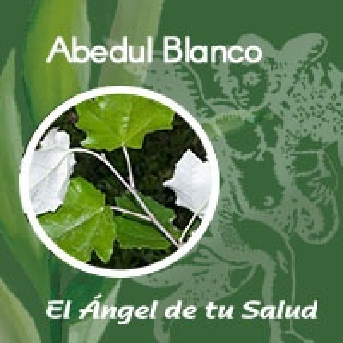 El Ángel de tu Salud - Abedul Blanco** episode artwork