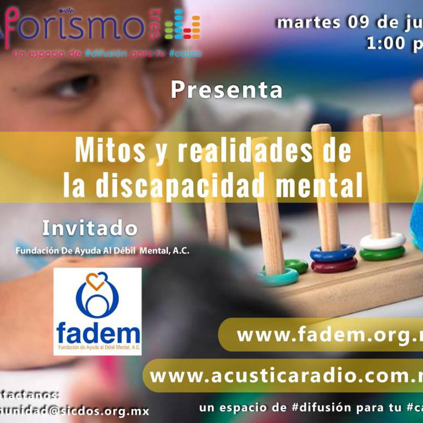 Mitos y realidades de la discapacidad mental.