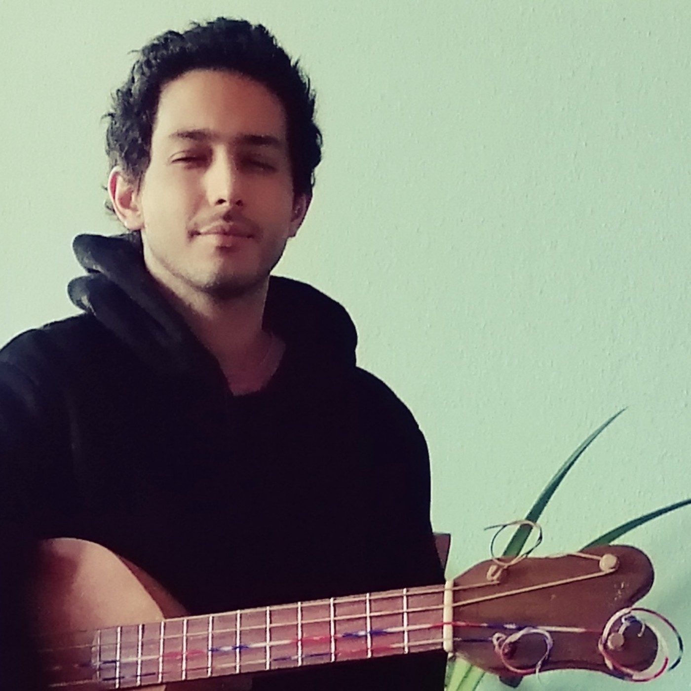 y sigue la mata dando radio