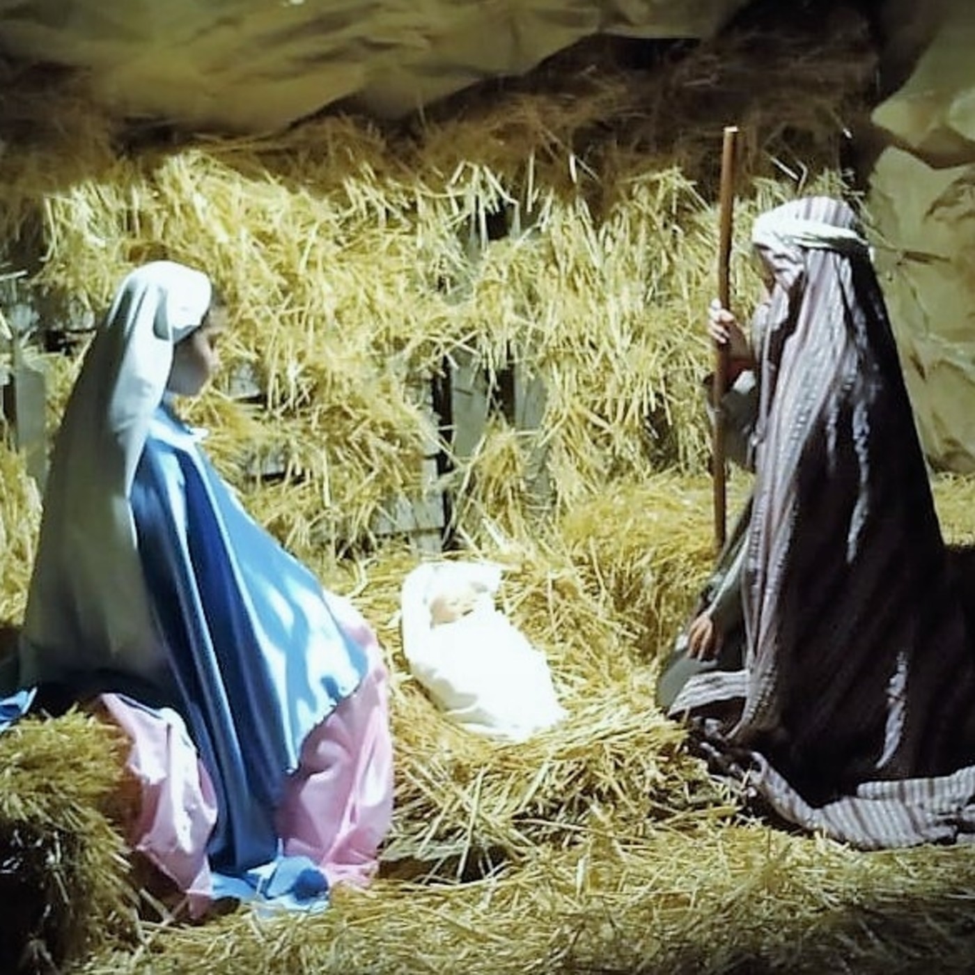 Novena de Navidad 2019