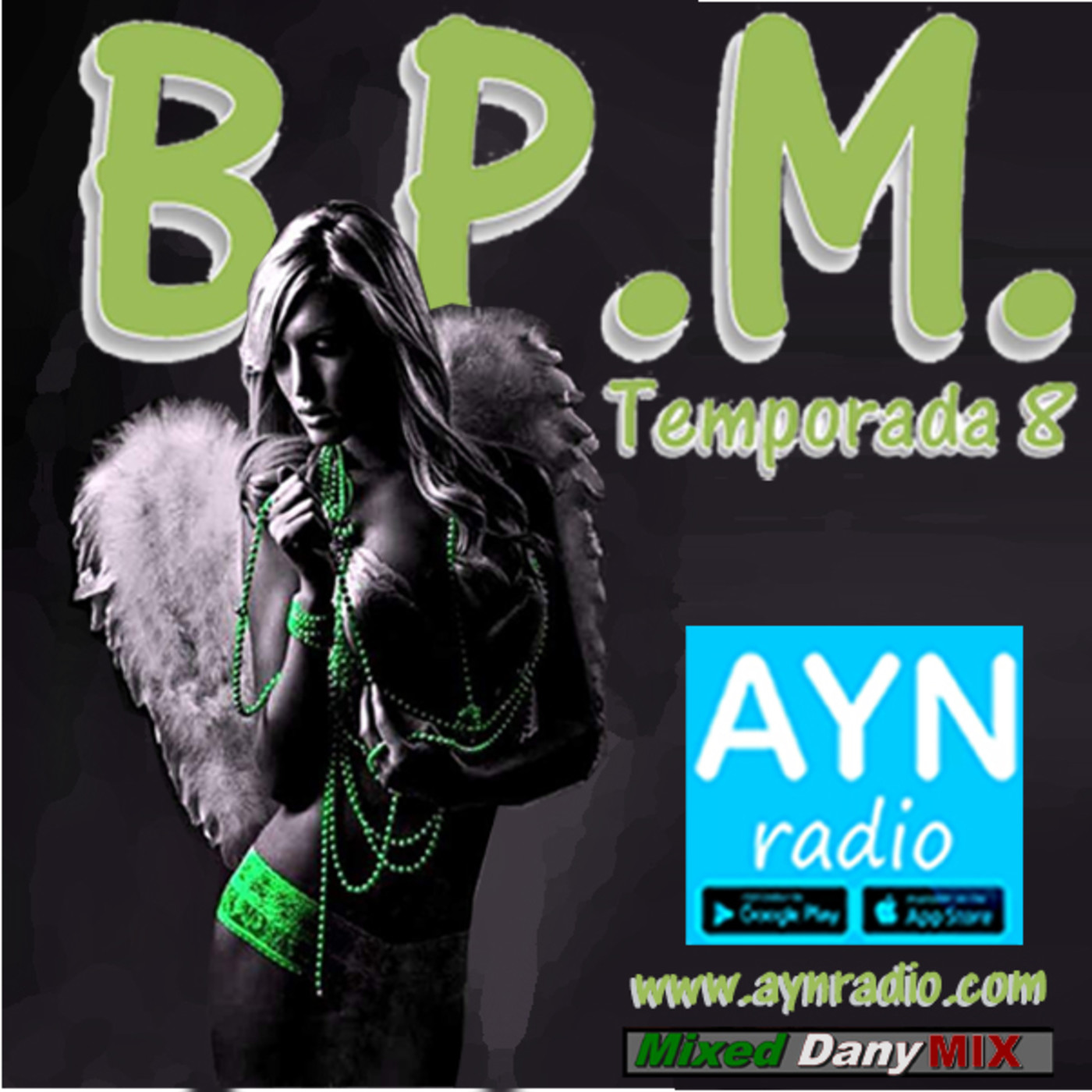 BPM Radio Project