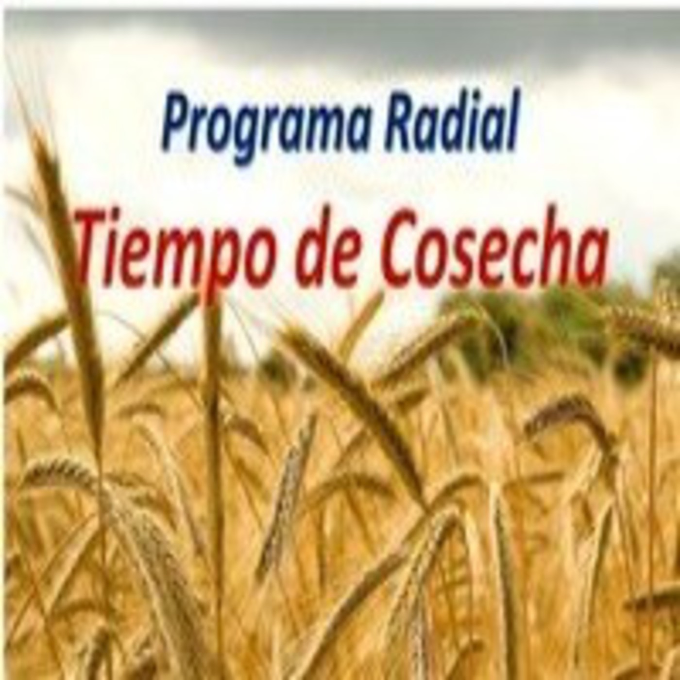 Podcast de Jose Hernan Rodriguez Martinez
