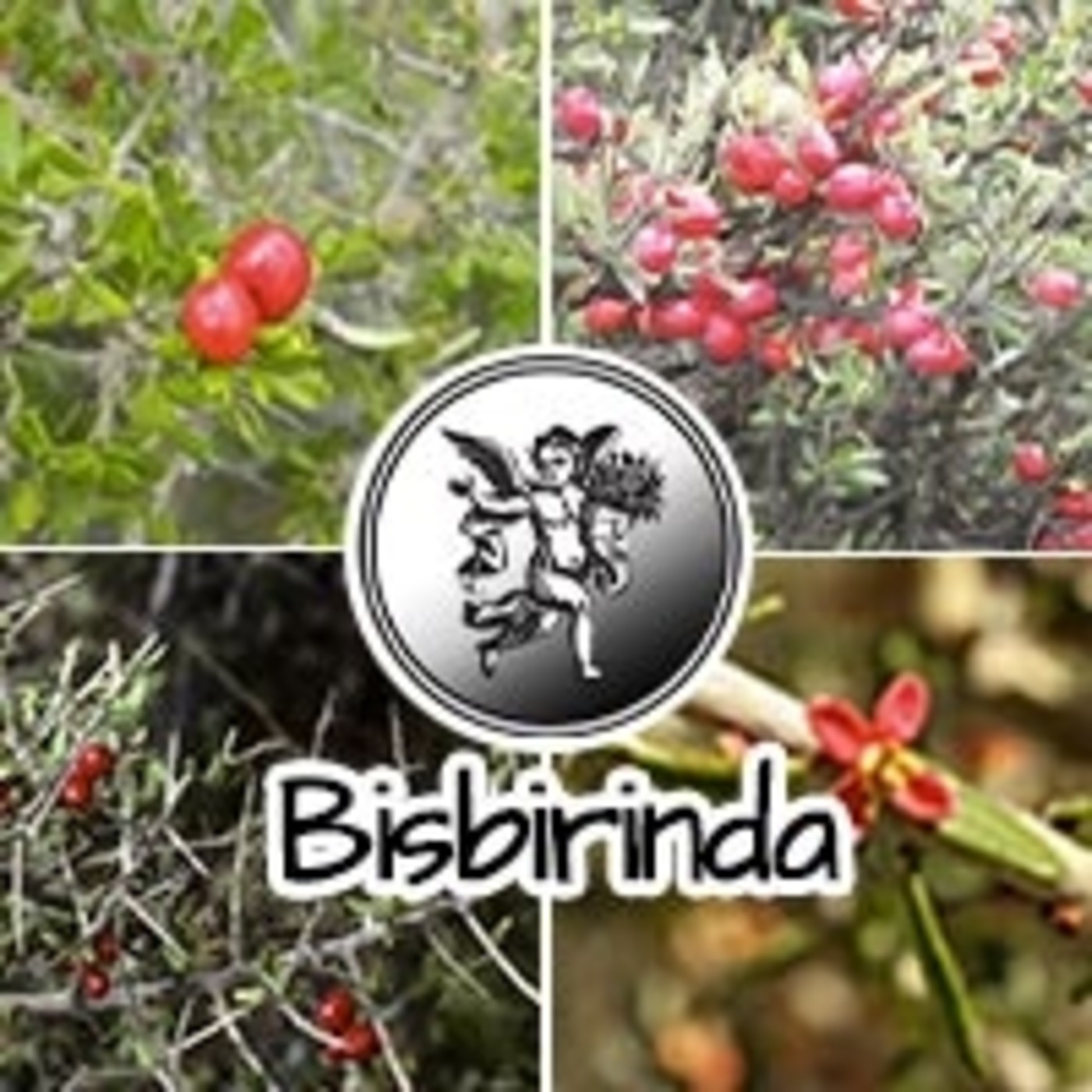 El Angel de tu Salud - BISBIRINDA * episode artwork