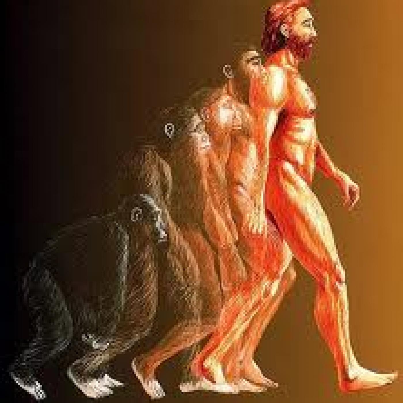 Sabiens. La Neo Divulgación.