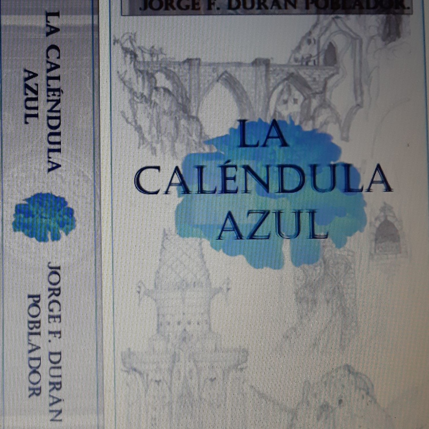 La Calendula Azul