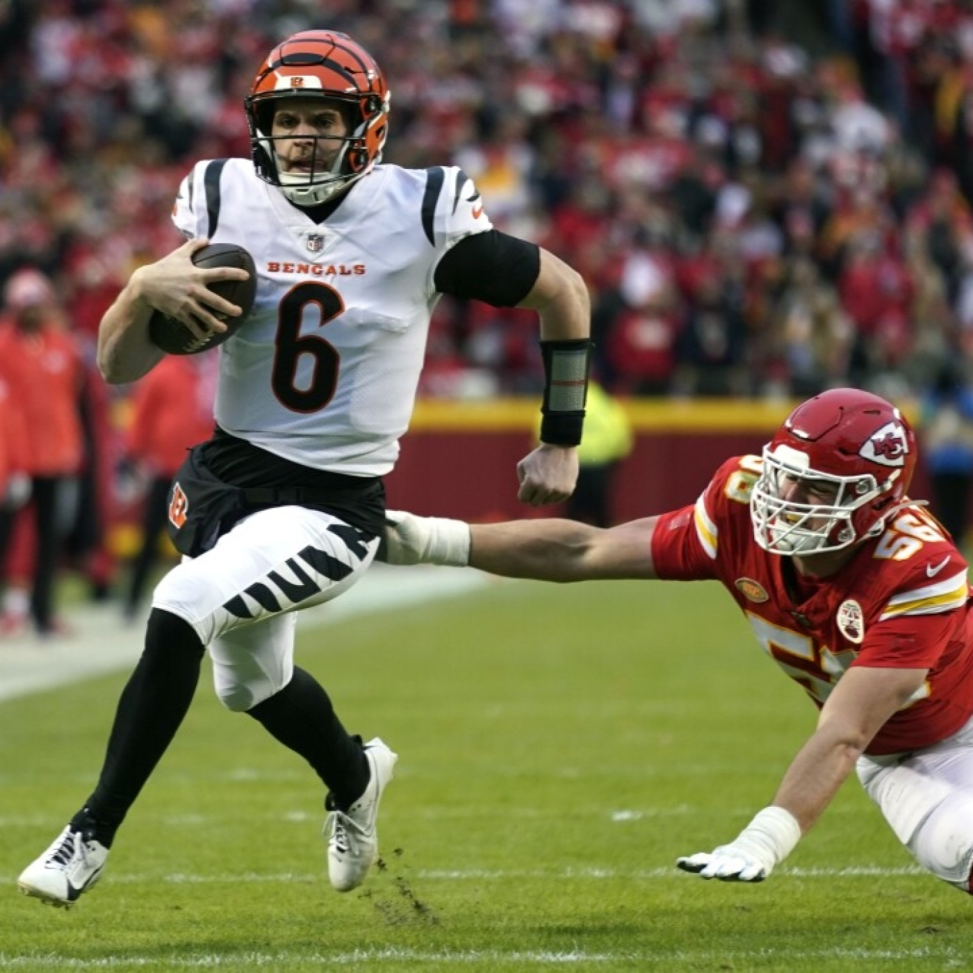 La Jungla Hispana - Bengals.es