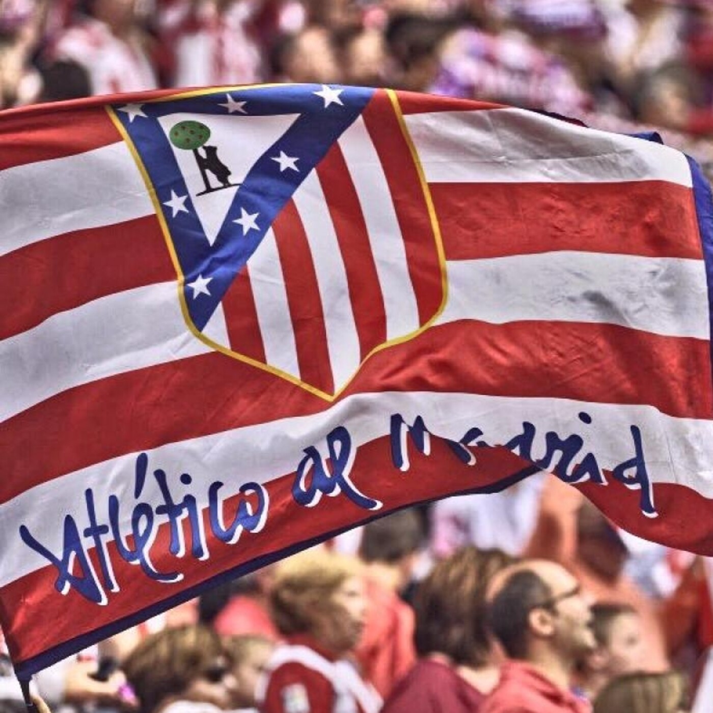 Episodio 113: Mi ATLETI, su Atleti SAD.